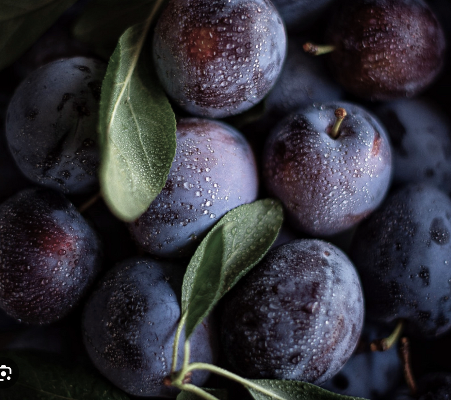 Queen Garnet plums