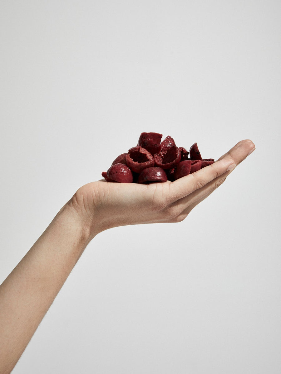 Fresh quandong, the native Australian desert peach, held in a hand