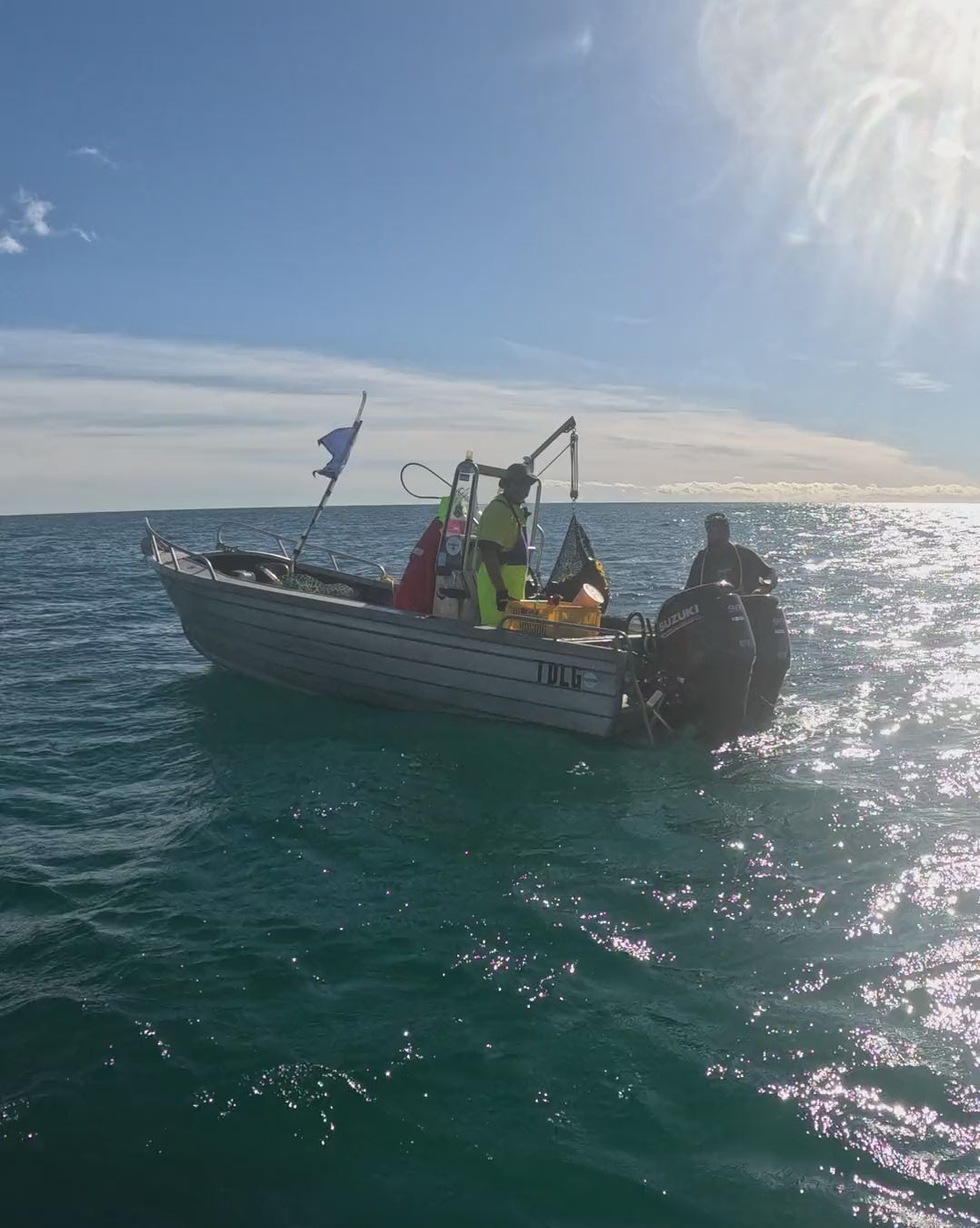 Dive boat on Tasmanian waters where the wild seaweed for Maritech fucoidan in Gut Ritual+ is harvested